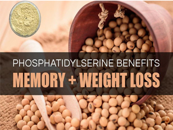Does Phosphatidylserine Help With Weight Loss?